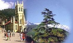 Holiday Offers for Shimla, Shimla Travel, Shimla Travel Offers, Shimla Holiday Packages, Shimla Tour Packages, Shimla Travel Guide, Tour Packages for Shimla, Shimla Tour Operators, Shimla India, Shimla Hotels, Shimla Tours