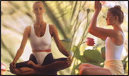 Golden Palms Spa & Resort