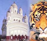 Tour Packages for West Bengal,West Bengal Travel Packages,Holiday Offers for West Bengal,West Bengal Tour,West Bengal Tourism,Holidays in West Bengal